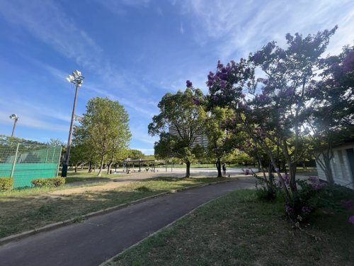 【公園】高洲中央公園まで138ｍ