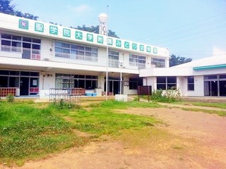 【幼稚園】聖学院みどり幼稚園まで1374ｍ