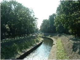 【公園】善福寺川緑地まで642ｍ