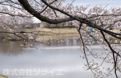 【公園】小畔水鳥の郷公園まで284ｍ
