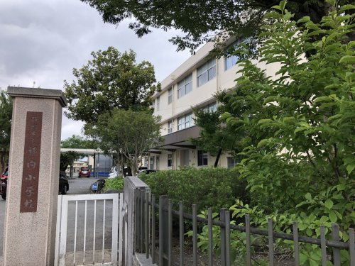 【小学校】静岡市立横内小学校まで445ｍ