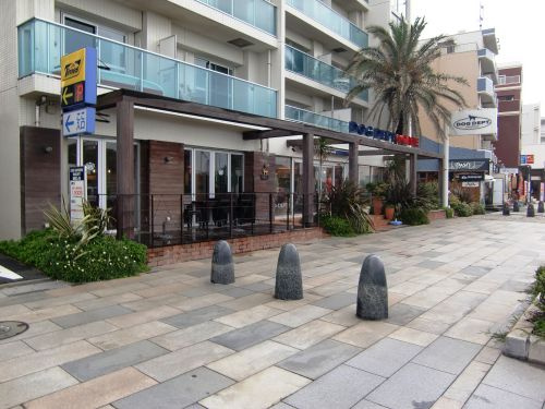 【その他】ドッグデプト湘南江の島店まで513ｍ