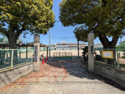 【小学校】岡山市立箕島小学校まで1001ｍ