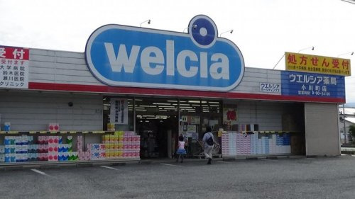 【ドラッグストア】ウエルシア　小川町店まで615ｍ
