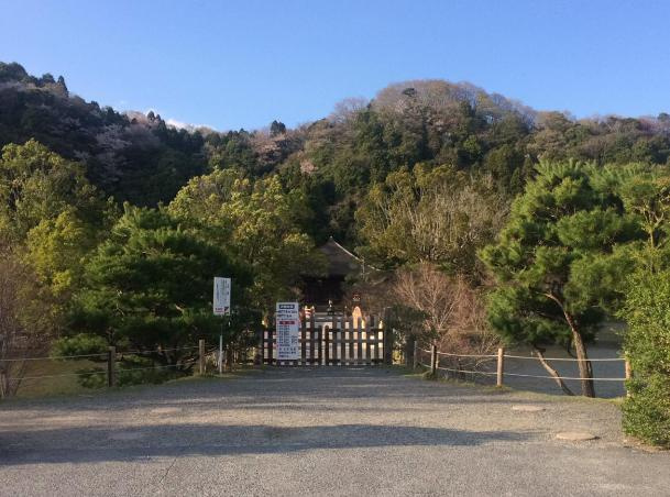 【文化財】白水阿弥陀堂まで6554ｍ