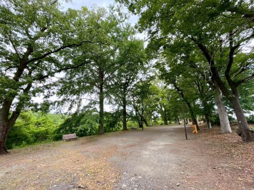 【公園】多摩川緑地福生柳山公園まで840ｍ