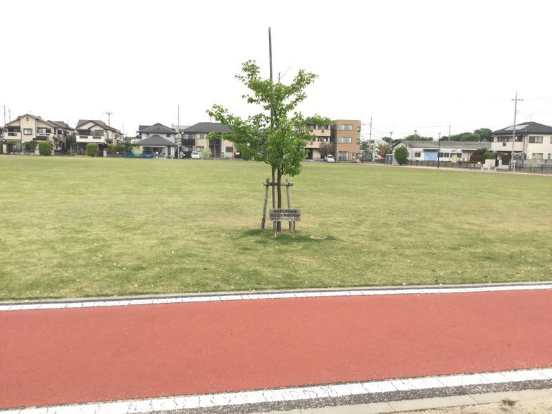 【公園】熊谷　籠原中央公園まで1225ｍ