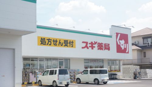 【ドラッグストア】スギドラッグ碧南坂口店まで985ｍ