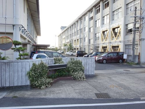 【中学校】橿原市立大成中学校まで987ｍ