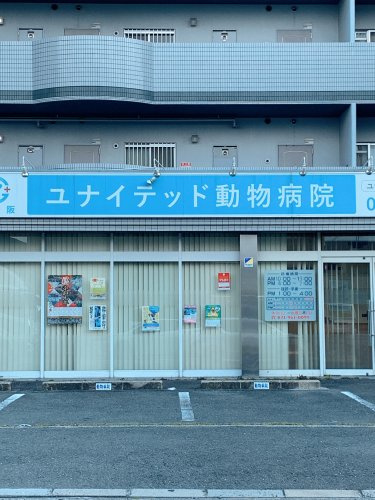 【その他】ユナイテッド東大阪ヨッピー動物病院まで367ｍ