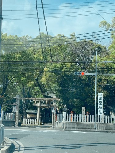 【寺院・神社】栗原神社(東大阪市)まで315ｍ