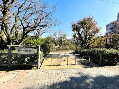 【公園】練馬区立田柄梅林公園まで385ｍ