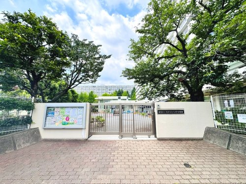 【幼稚園】光が丘むらさき幼稚園まで219ｍ