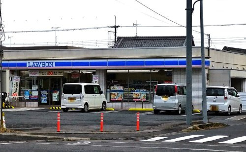 【コンビニエンスストア】ローソン　中主西河原店まで272ｍ