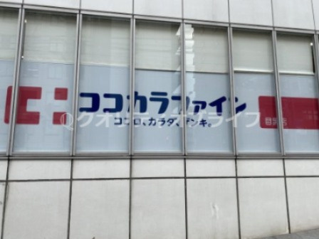【ドラッグストア】ココカラファイン　目黒店まで1004ｍ