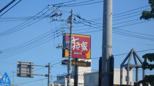 【ファーストフード】すき家　川口末広店まで590ｍ