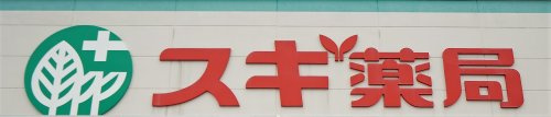 【ドラッグストア】スギ薬局ミエル川口店まで543ｍ