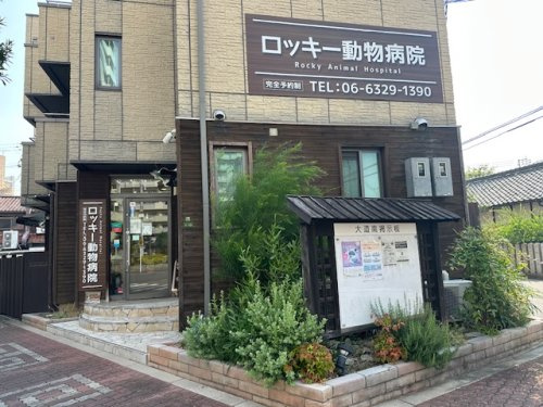 【動物病院】ロッキー動物病院まで1097ｍ