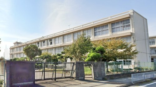 【小学校】姫路市立大津小学校まで659ｍ