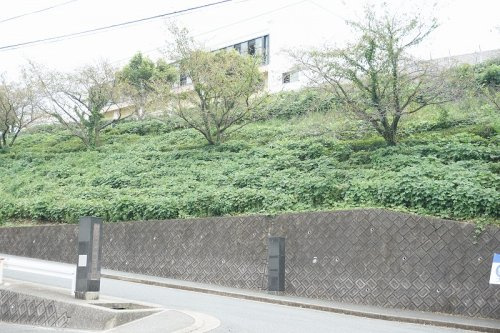 【中学校】平野中学校まで1049ｍ