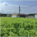 【コンビニエンスストア】セイコーマート　城里石塚店まで360ｍ