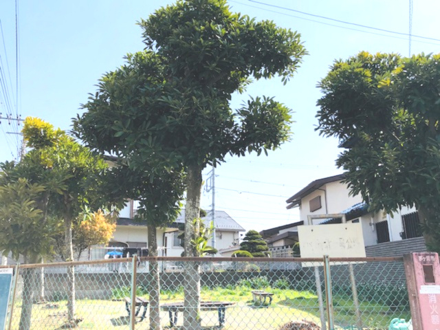 【公園】東海岸北第四公園まで594ｍ