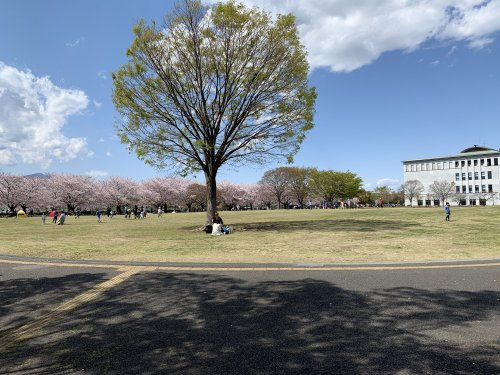 【公園】さむかわ中央公園まで1457ｍ