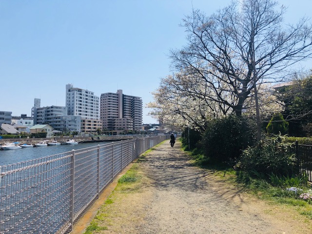 【公園】第3号境川緑地まで626ｍ