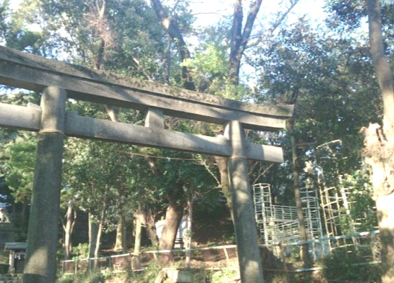 【公園】殿山公園まで311ｍ