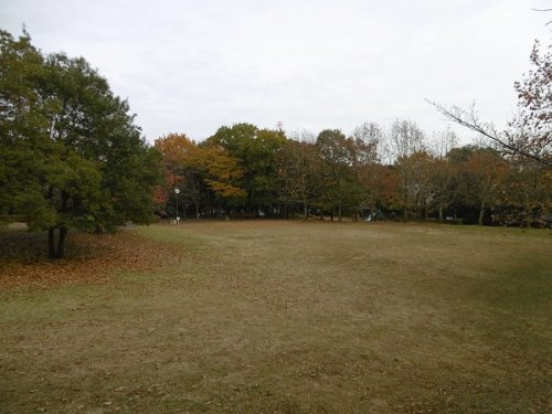 【公園】とちのき公園まで260ｍ