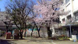 【幼稚園】渋谷区立広尾幼稚園まで528ｍ