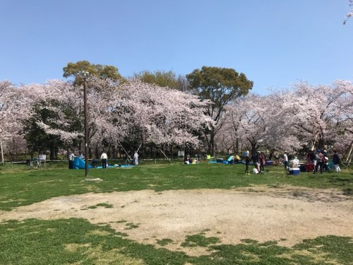 【公園】深北緑地まで770ｍ