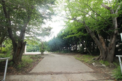 【小学校】上宮田小学校まで481ｍ