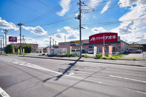 【ドラッグストア】クスリのアオキ　国済寺店まで982ｍ