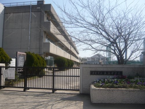 【中学校】浦安市立美浜中学校まで722ｍ