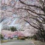 【公園】東海村阿漕ケ浦運動公園まで5798ｍ