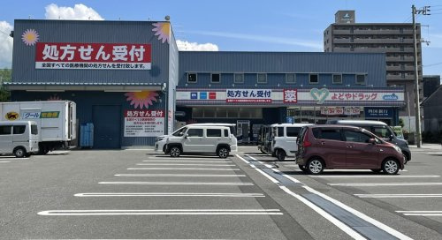 【ドラッグストア】よどやドラッグ高知高須店まで853ｍ