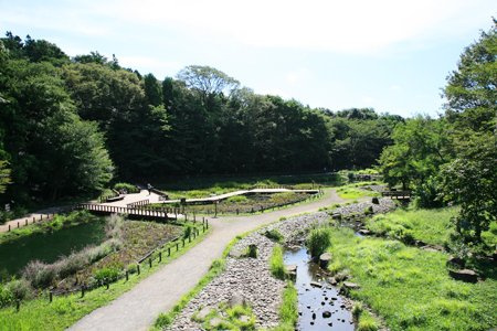 【公園】泉の森　まで1053ｍ