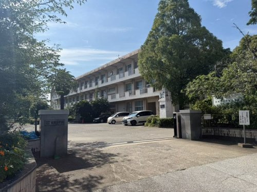 【小学校】宮崎市立大淀小学校まで257ｍ