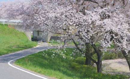 【公園】小ヶ谷公園まで604ｍ