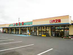 【スーパー】カスミ　常陸大宮店まで223ｍ