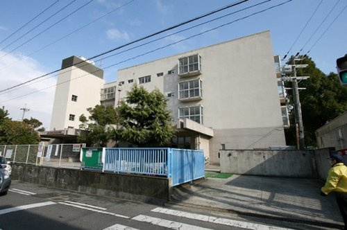 【小学校】泉大津市立条東小学校まで800ｍ