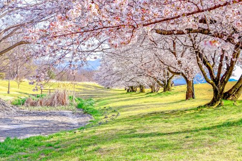 【公園】信玄堤公園まで545ｍ