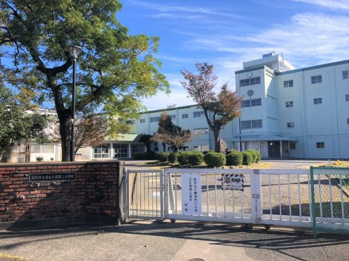 【小学校】静岡市立清水三保第二小学校まで1106ｍ
