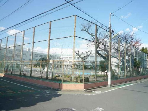 【小学校】世田谷区立等々力小学校まで137ｍ