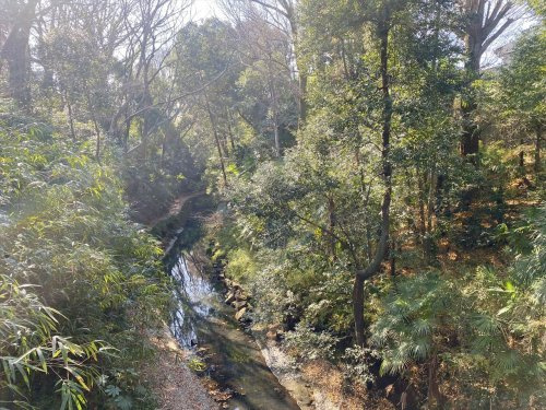 【公園】等々力渓谷公園まで284ｍ
