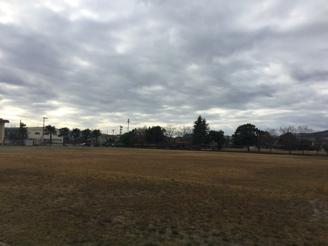 【公園】西藤公園まで261ｍ