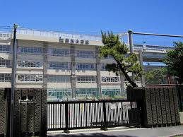 【小学校】江東区立数矢小学校まで699ｍ
