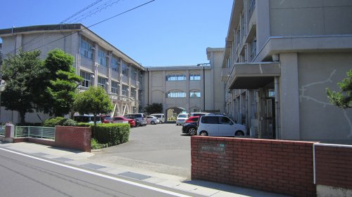 【小学校】岐阜市立市橋小学校まで1010ｍ