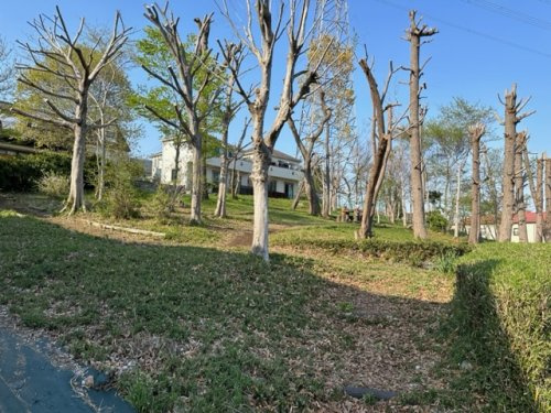 【公園】八ヶ上西緑地公園まで237ｍ